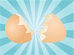 Egg illustration clipart broken shell two halves