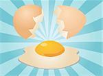 Egg illustration clipart open shell with yolk