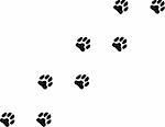 A Vector Illustration of a Trail of Paw Prints