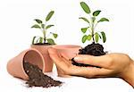 Womans Hand Holding New Springtime Seedling With Potting Pots in the Background. Background is Intentionally Out of Focus.