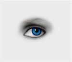 Women's blue eye on a light background