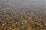 pebbles in stream in mountain river