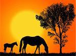 Horse and colt pasturing against a colorful sunset