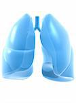3d rendered anatomy illustration of human lung