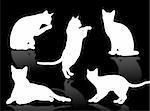 Black cat silhouette in different poses and attitudes