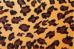 Wild African animal hide pattern yellow leopard