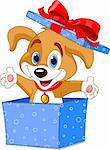 Cute little puppy jumping out from a gift box