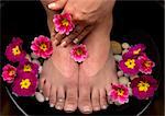 Beautiful pedicured feet and manicured hand with colorful spring flowers in a spa