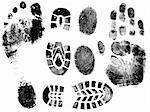 A Selection of highly detailed vector hand, finger feet and shoeprints.