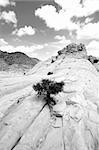 Snow Canyon in St. George, Utah - Close up on the Rocks - Black and White