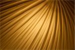 Brown abstract background with curved lines