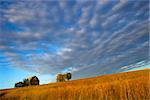 Hillside farm inder great sky near Lincoln, Nebraska