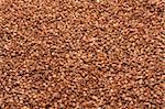 Buckwheat, disposit as background in diffused light