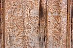 Grungy dacaying wood texture