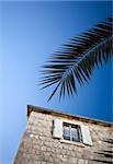 Holiday appartment window and a palm tree branch with blue sky in the background