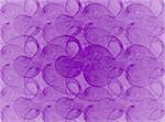 abstract purple wave design graphic