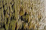 Flowstone Carlsbad Caverns NP