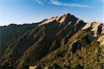 Sunrise golden high mountain fresh green forest.