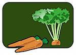 Vector color illustration of a carrot.