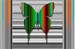 Butterfly Drips Color