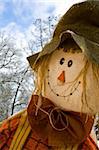 Closeup of Happy Scarecrow Face with Sky and Trees in Background