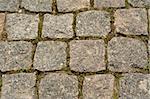 The road for walks in park is paved by a square stone