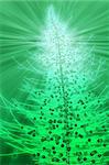 Christmas tree festive holiday abstract wallpaper illustration