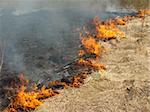 burning dry grass at the spring field