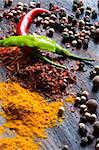 Spices are scattered on a table