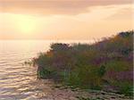 Sunset. A coastal line in thrickets of a grass on a background of a decline