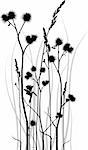 Gray scale vector silhouette of grass blades with bur.