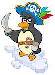 Pirate penguin on white background - vector illustration.