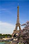 The Eiffel Tower. Spring time.