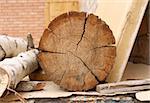 Cut of a log - firewoods