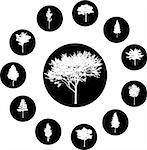 The set from silhouettes of trees, is presented in the form of 12 buttons.