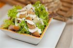 Premium caesar Salad with Crispy Chicken and onion