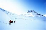 A short trek across a winter landscape