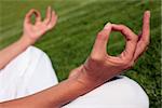 Womans hands in meditation pose on a nice green lawn