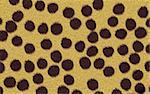 Abstract raster cheetah texture background.