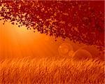 Abstract forest background, autumn theme