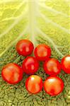 Raw vegetables still with cherry tomatoes and cabbage leaf