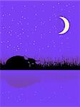 sleeping cat under the moon, vector illustration