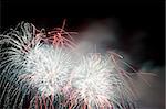 multi colored firework flowers