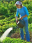 woman watering vegetable bed at the rural farm