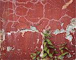 Old red wall with cracks and nettle runaways