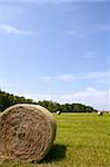 Golden Straw Hay Bales in american countryside on sunny day