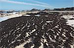 The wonderfully rugged Oregon coast at low tide