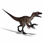 Dinosaur Utahraptor. 3D render with clipping path and shadow over white