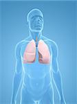 3D gerenderten Abbildung eines transparenten männlichen Körpers mit Lungenkrebs
