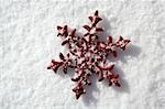 Christmas red star in a snow day. Xtmas card